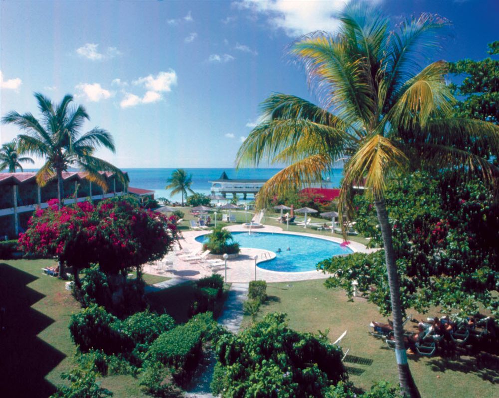 Starfish Halcyon Cove Hotel Dickenson Bay Eksteriør billede