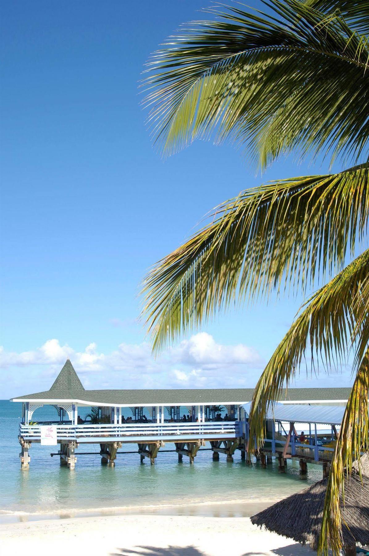 Starfish Halcyon Cove Hotel Dickenson Bay Eksteriør billede